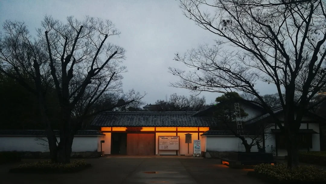 dreams of being trapped Why Do I Dream About Being Trapped? chinese metaphysics illustration abstract energy