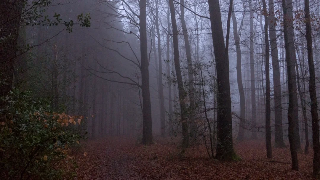 Why Do I Dream About Being Unable to Speak Why Do I Dream About Being Unable to Speak? chinese metaphysics illustration zen style