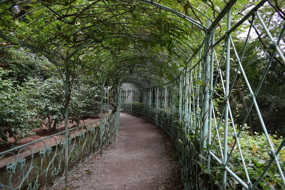 Sueños de ser vigilado ¿Por qué soño que me vigilan? chinese metaphysics illustration abstract energy