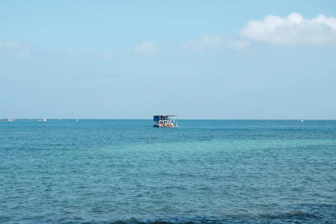 Falling into Water Dream Meaning Why Do I Dream About Falling Into Water? chinese metaphysics illustration zen style