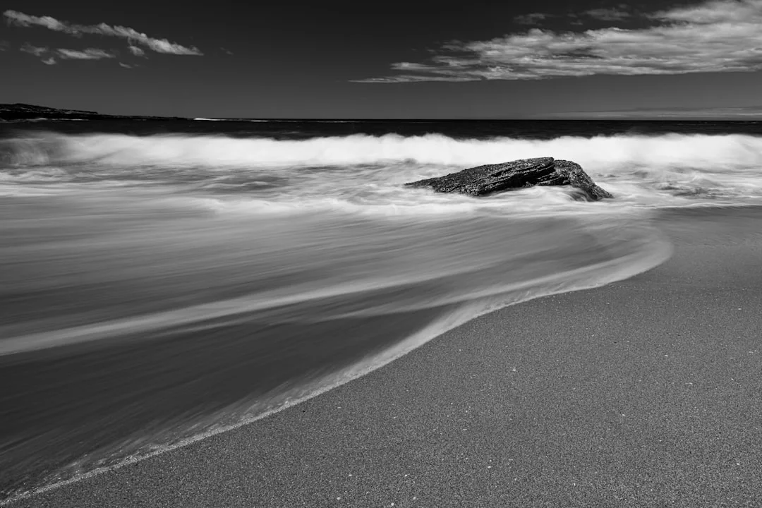 Pierde teléfono en sueños ¿Por qué sueño que pierdo mi teléfono? chinese metaphysics illustration zen style