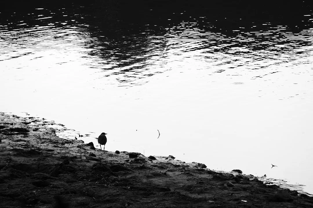 sueño sobre mi casa de infancia significado Significado de Mis Sueños casa de tu infancia chinese metaphysics illustration abstract energy