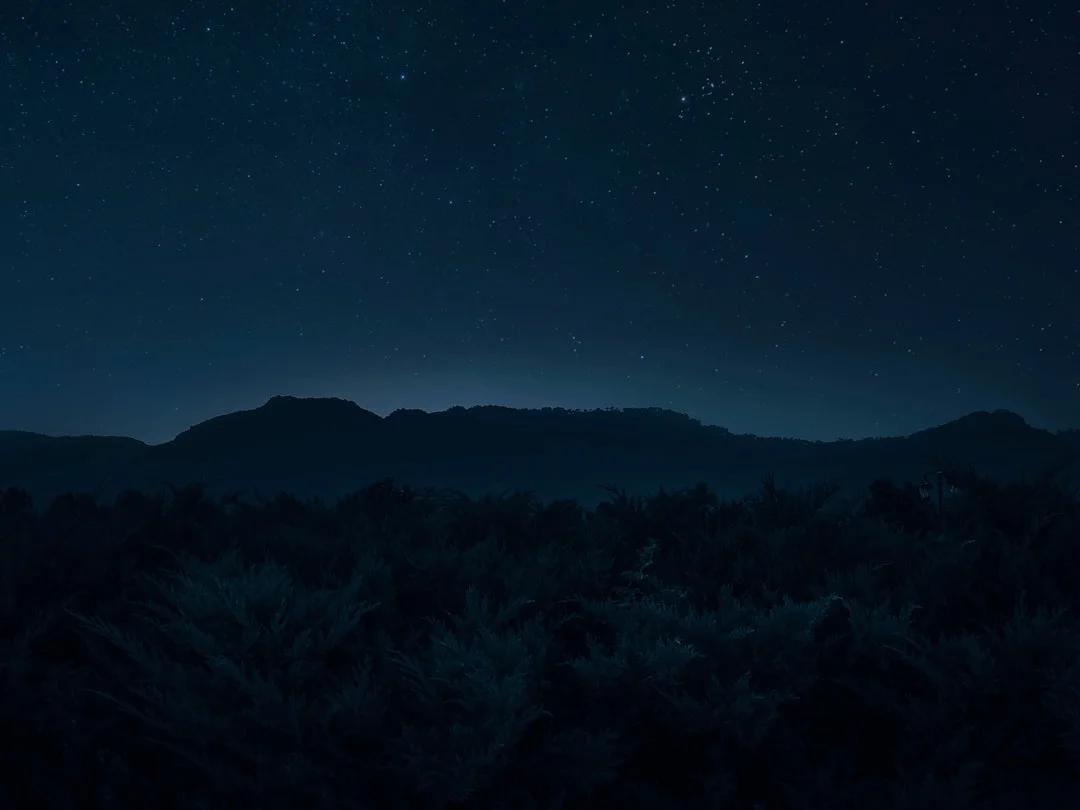 dreams about old friends Why Do I Dream About Old Friends? chinese metaphysics illustration zen style