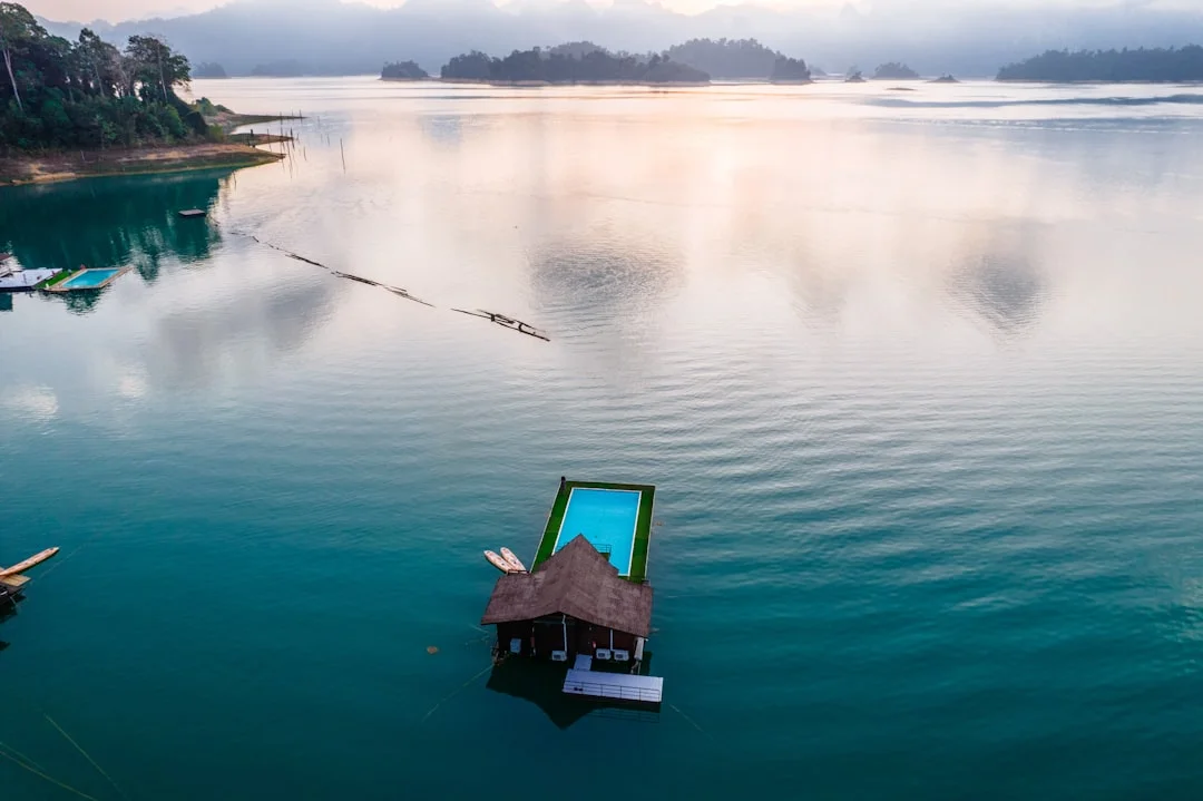 ¿Por qué soñé que huía? ¿Por qué soñé que huía? chinese metaphysics illustration zen style