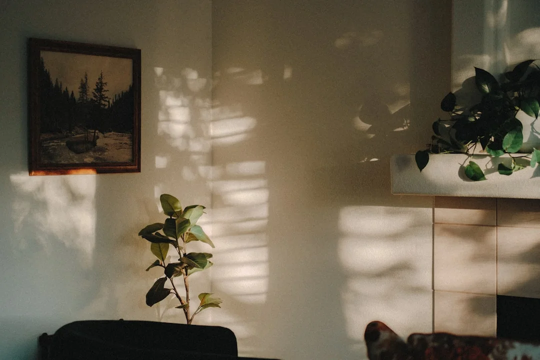 feng shui para niños espacio de estudio ¿Puede el Feng Shui Ayudar a los Niños a Estudiar Mejor? Optimizar el Espacio de Estudio chinese metaphysics illustration zen style