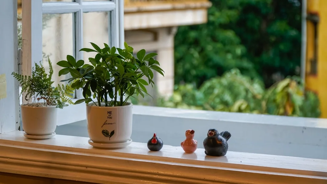 feng shui meaning of Can Feng Shui Help Reduce Anxiety? Can Feng Shui Help Reduce Anxiety? chinese metaphysics illustration abstract energy