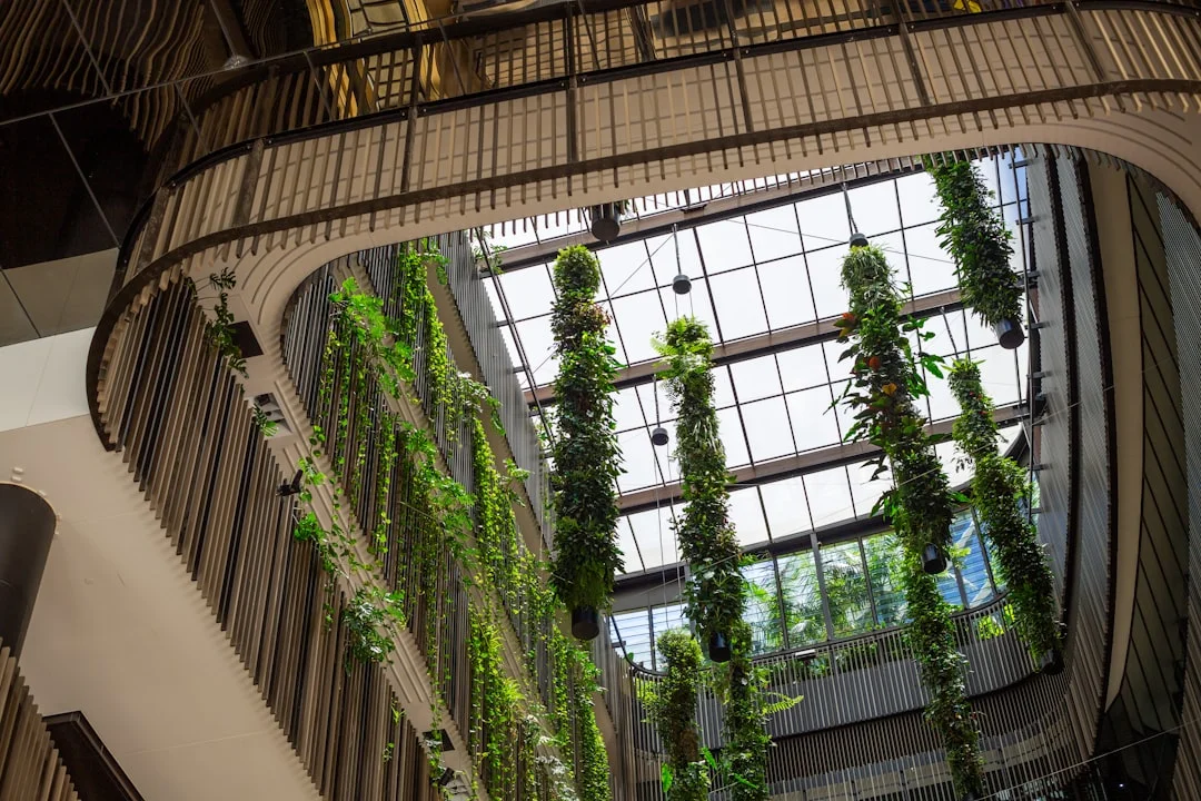 bringing positive energy into the house with feng shui How Can Feng Shui Bring More Positive Energy Into Your House? chinese metaphysics illustration zen style