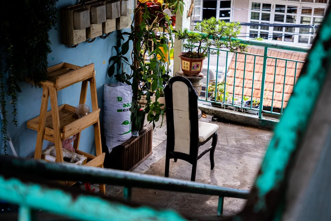 Crecimiento de Carrera con Feng Shui Crecimiento de Carrera con Feng Shui: Desbloquea tu Potencial Profesional chinese metaphysics illustration abstract energy