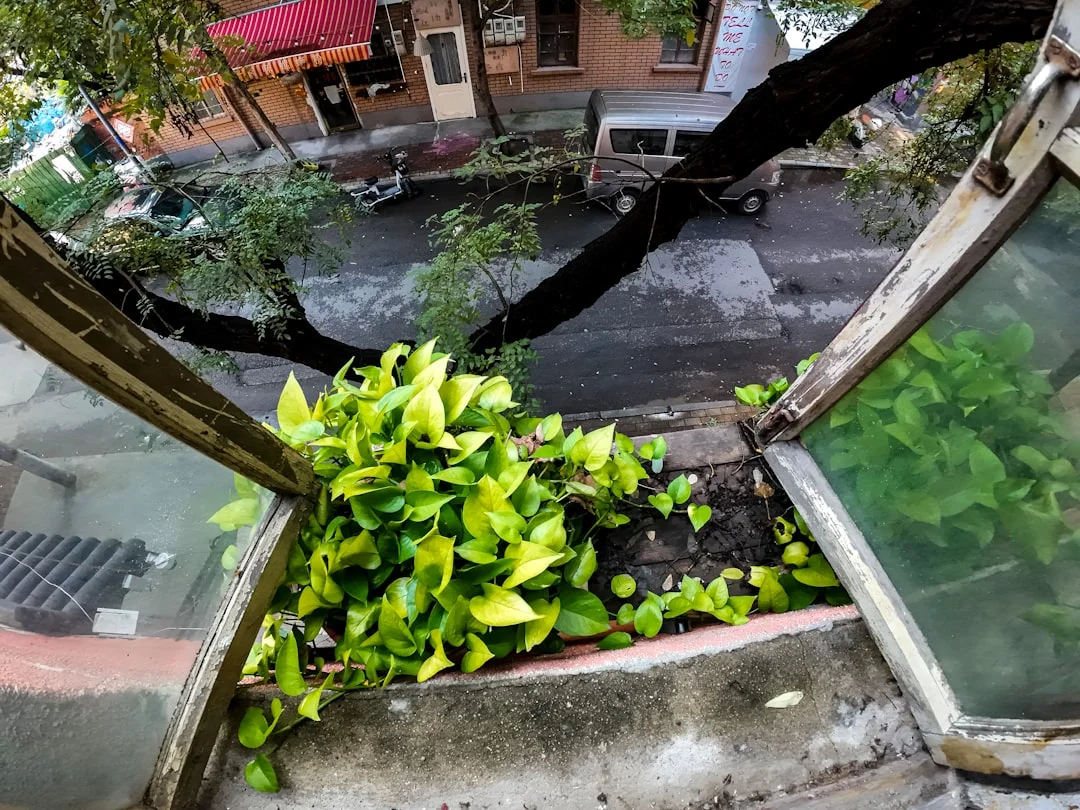 feng shui significado de vida en apartamentos Feng Shui para vida en apartamentos: Mejorar flujo de energía y equilibrio chinese metaphysics illustration abstract energy