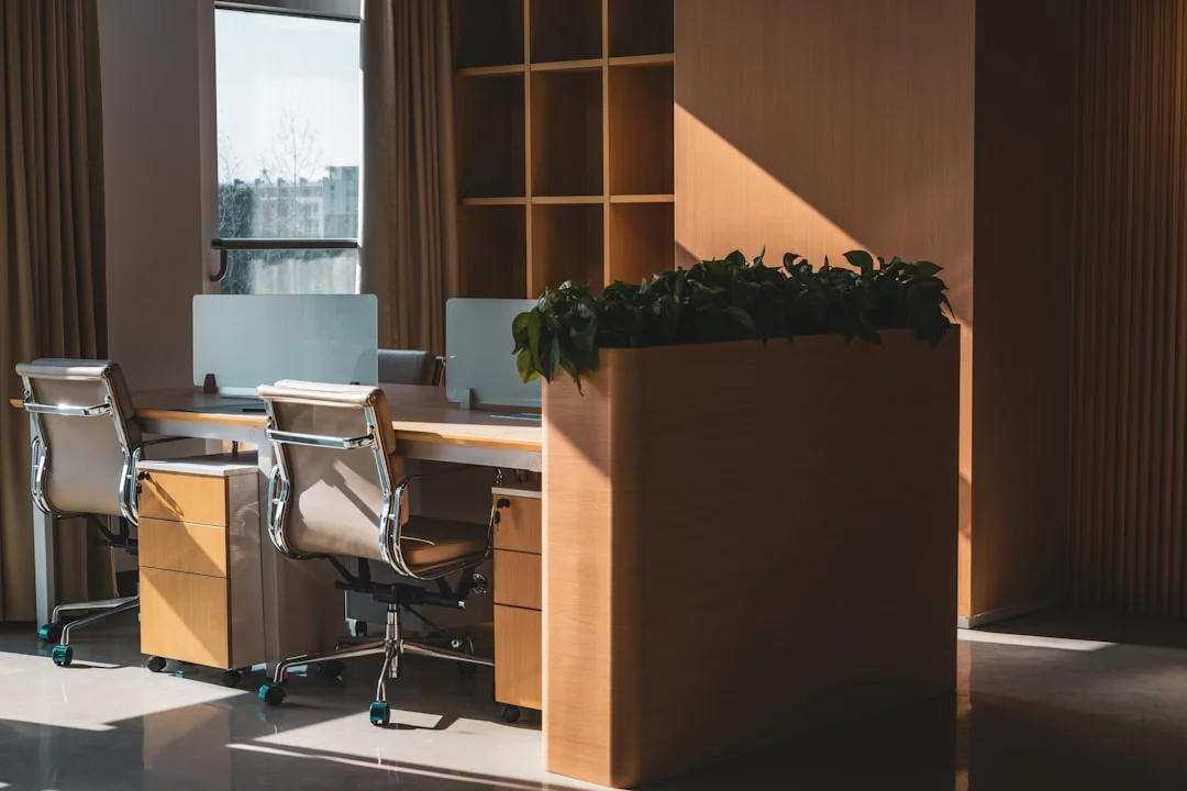 Feng Shui meaning of Business Luck How Can Feng Shui Improve Business Luck? chinese metaphysics illustration zen style