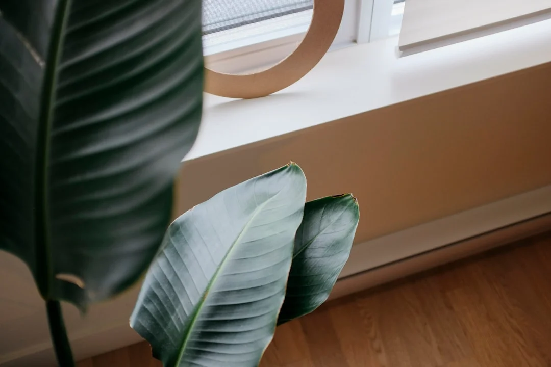 Feng Shui meaning of Business Luck How Can Feng Shui Improve Business Luck? chinese metaphysics illustration abstract energy