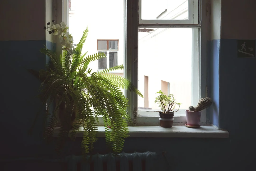 feng shui emotional well-being How Can Feng Shui Improve Emotional Well-Being? chinese metaphysics illustration abstract energy