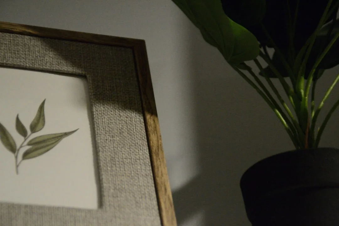 feng shui meaning of personal growth How Can Feng Shui Support Personal Growth? chinese metaphysics illustration abstract energy