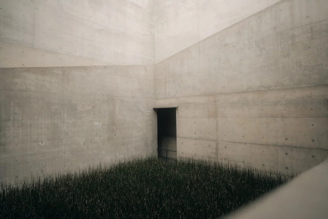 feng shui influjo de los colores en la energía Cómo los colores influyen en la energía del feng shui chinese metaphysics illustration zen style