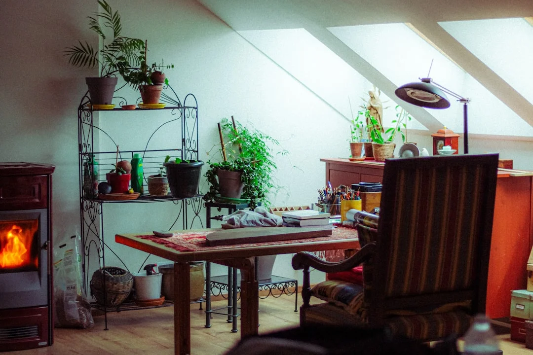 significado del feng shui de mascotas en el hogar Significado del Feng Shui de Mascotas en tu Espacio chinese metaphysics illustration zen style