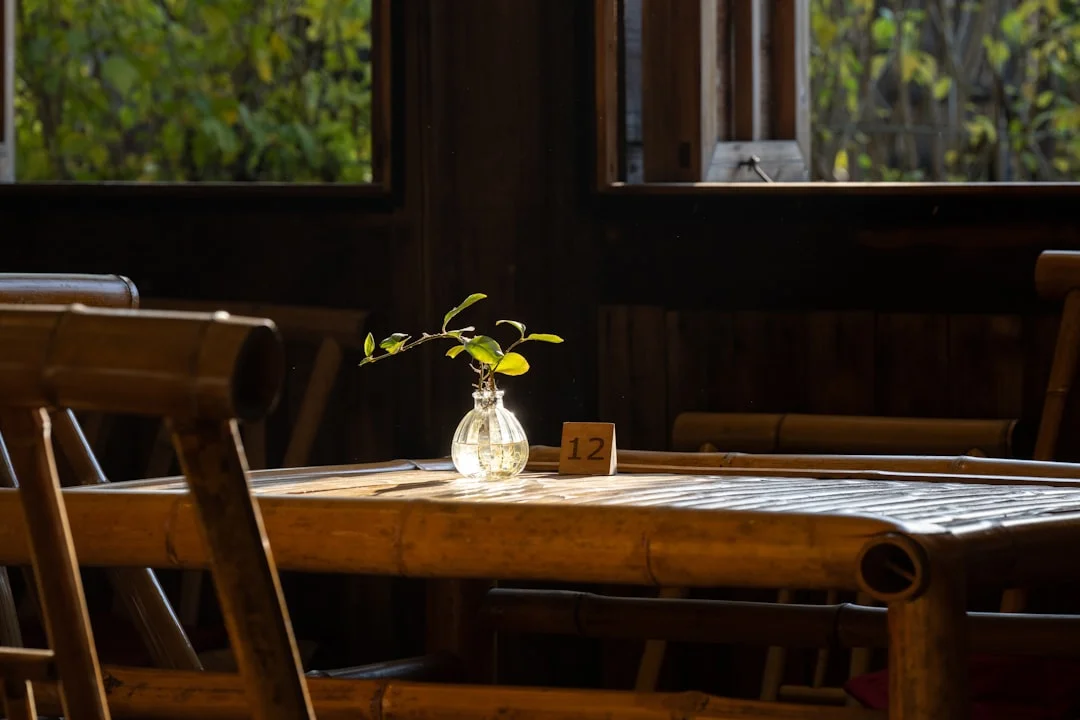 significado de feng shui ¿Cómo afectan las plantas a la riqueza Desbloquear la riqueza con plantas: Una guía de feng shui chinese metaphysics illustration zen style