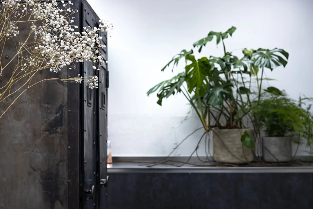 feng shui meaning of Five Elements balancing home energy How Do the Five Elements Balance Home Energy? chinese metaphysics illustration zen style