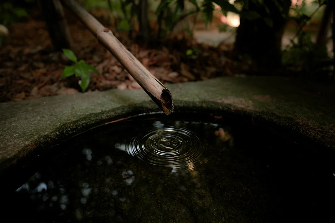 significado de feng shui de elementos de agua y riqueza Entendiendo el significado del feng shui de los elementos de agua en la riqueza chinese metaphysics illustration zen style