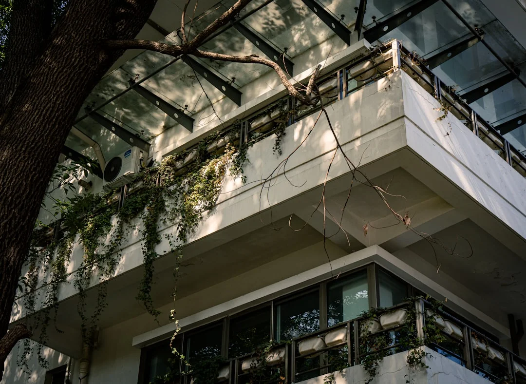 feng shui meaning of stove in home layout How Does the Stove Affect Feng Shui Energy? chinese metaphysics illustration abstract energy