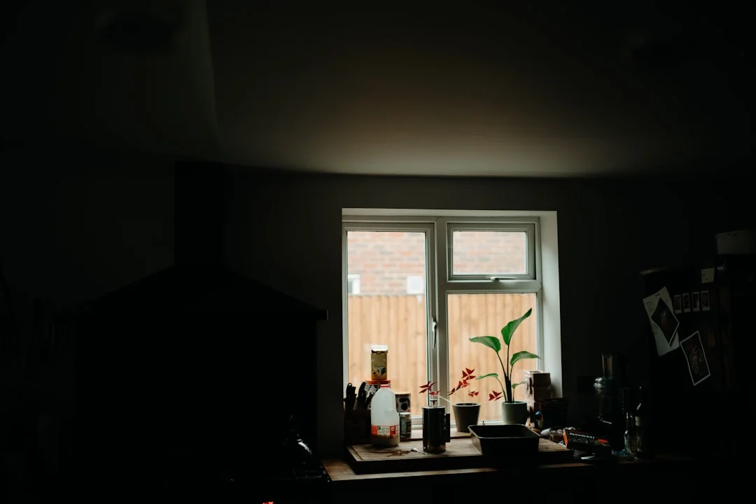 feng shui meaning of house colors What Are the Best Feng Shui Colors for a House? chinese metaphysics illustration zen style