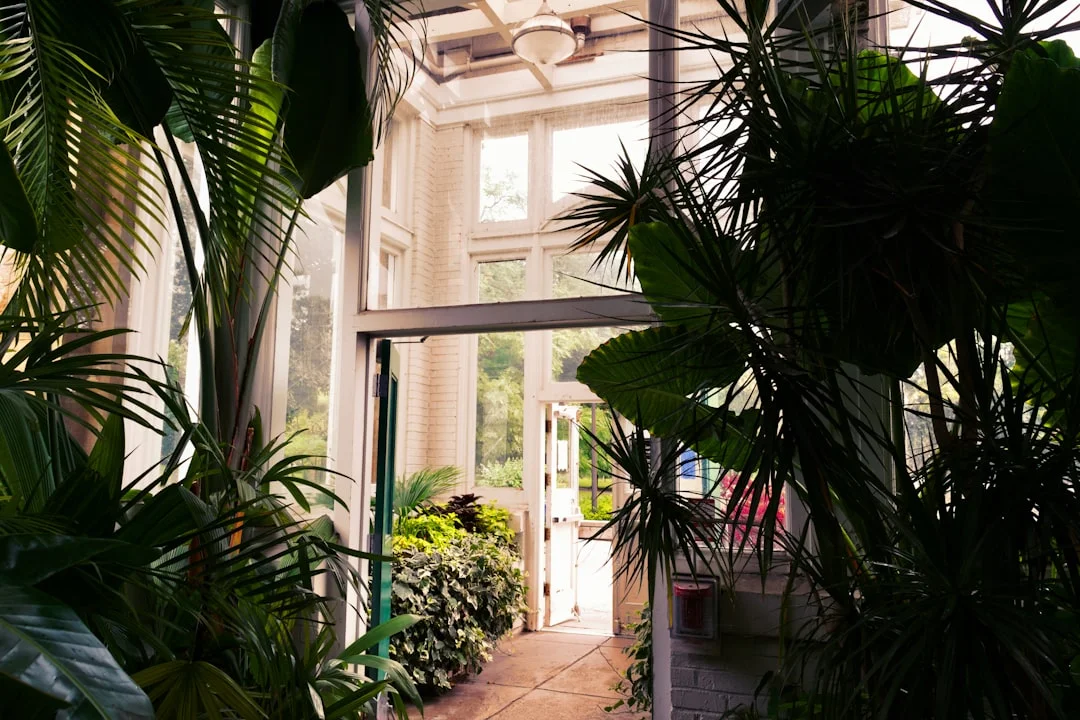 bad feng shui signs in home What Are the Signs of Bad Feng Shui in a Home? chinese metaphysics illustration zen style