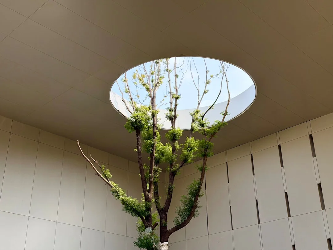 feng shui meaning of What Areas of the House Control Wealth What Areas of the House Control Wealth in Feng Shui? chinese metaphysics illustration zen style