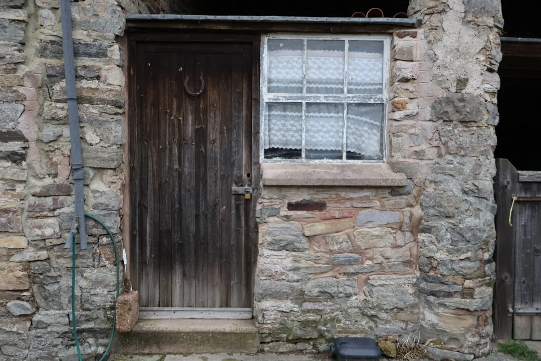 feng shui significado de los colores de la puerta principal Colores Feng Shui para la Puerta de la Frontera: Mejora el Flujo de Energía chinese metaphysics illustration abstract energy