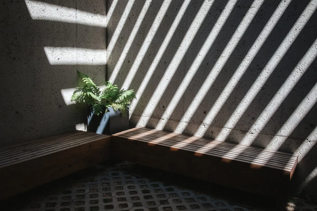 Feng Shui para Trabajadores Remotos Consejos de Feng Shui para Trabajadores Remotos: Aumenta Energía y Productividad chinese metaphysics illustration abstract energy