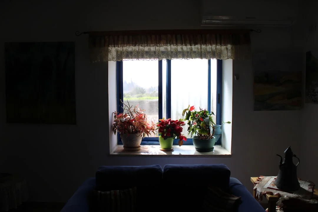 significado de feng shui para armonía de la cocina Consejos de Feng Shui para un Espacio de Cocina Armónico chinese metaphysics illustration zen style