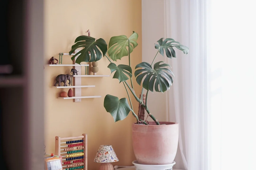 feng shui para casas pequeñas Consejos de feng shui para casas pequeñas para equilibrar la energía y la vida chinese metaphysics illustration zen style