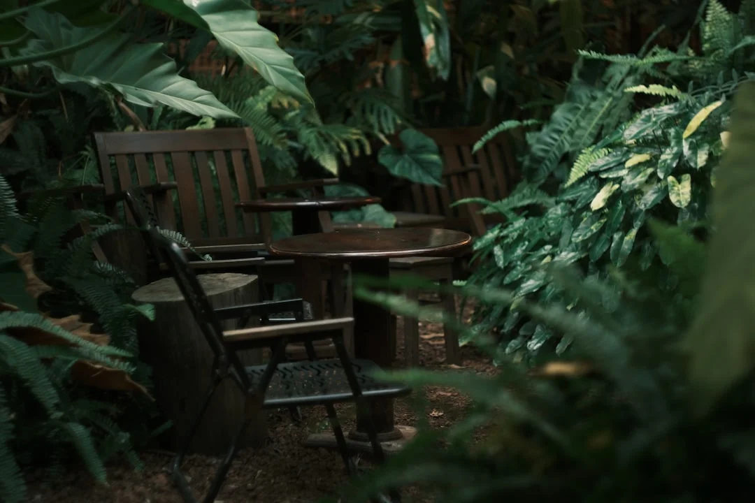 bagua map meaning in feng shui What Is the Bagua Map Explained Simply? chinese metaphysics illustration zen style