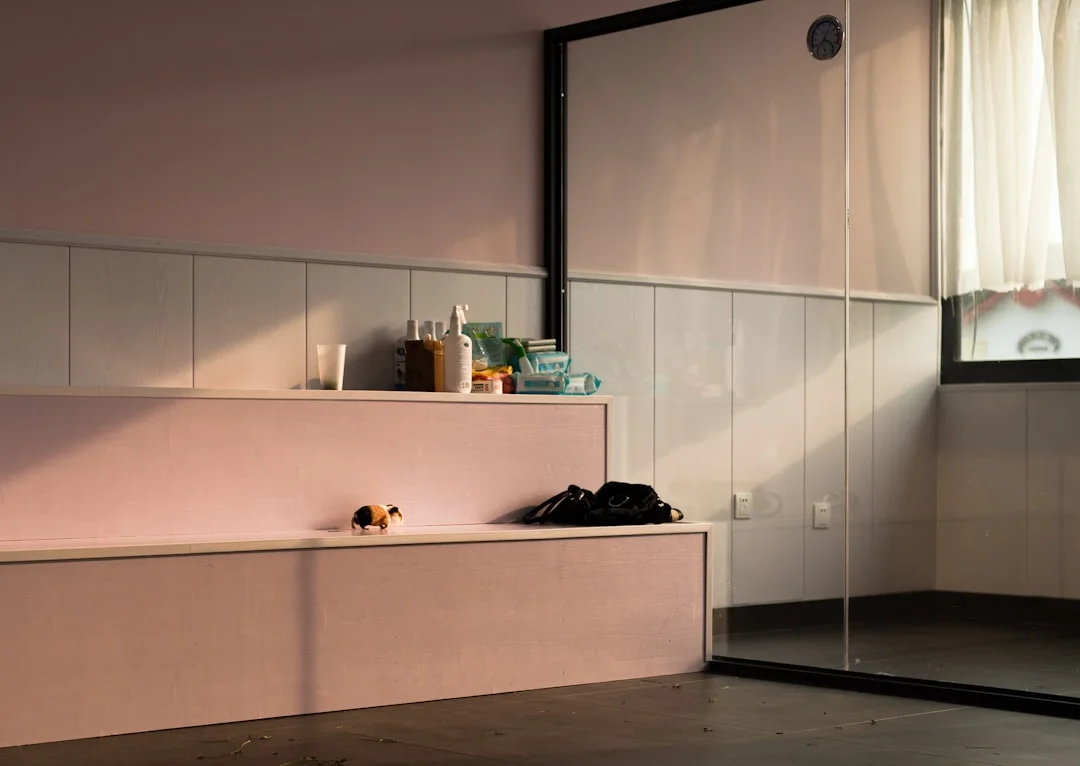 significado del feng shui Qué Diseño Crea la Mejor Energía del Hogar? Significado del Feng Shui de Qué Diseño Crea la Mejor Energía del Hogar? chinese metaphysics illustration abstract energy