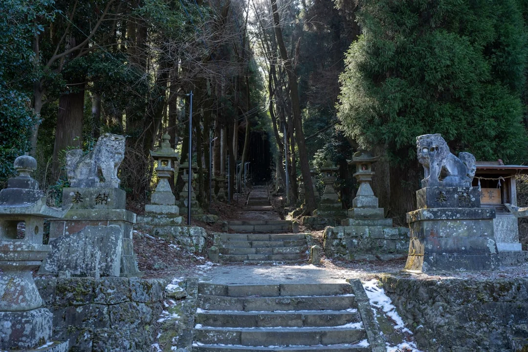 plantas de Feng Shui para entrada significado ¿Qué plantas son buenas para el Feng Shui de la entrada? chinese metaphysics illustration abstract energy