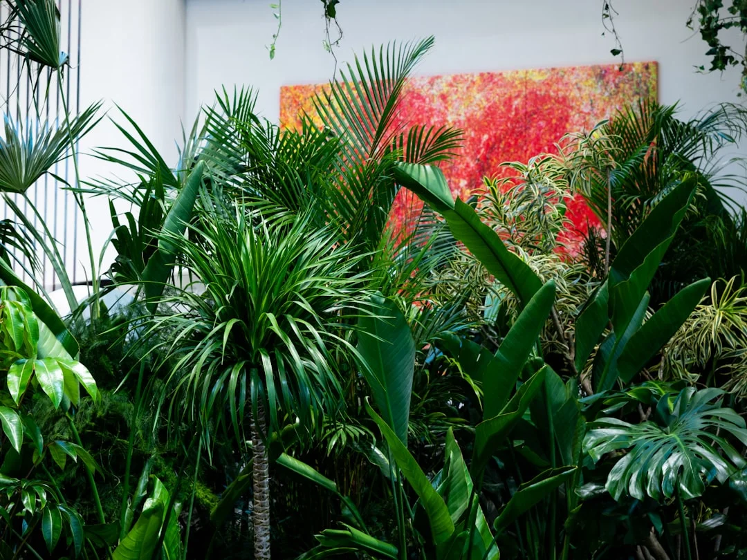 significado de feng shui de ¿Por qué algunas casas siempre parecen tensas? ¿Por qué algunas casas siempre parecen tensas? chinese metaphysics illustration abstract energy