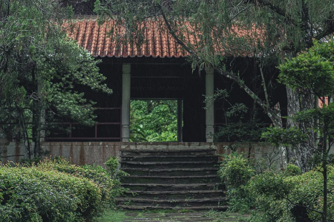 feng shui significado de entrada limpia importancia ¿Por qué es importante una entrada limpia en Feng Shui? Flujo de energía y equilibrio chinese metaphysics illustration zen style