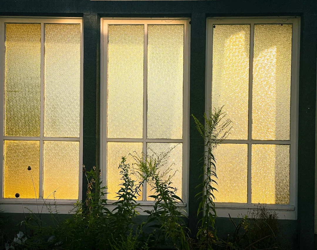 significado del feng shui del fogón en símbolo de riqueza Descubriendo el feng shui: por qué el fogón es un símbolo de riqueza chinese metaphysics illustration zen style