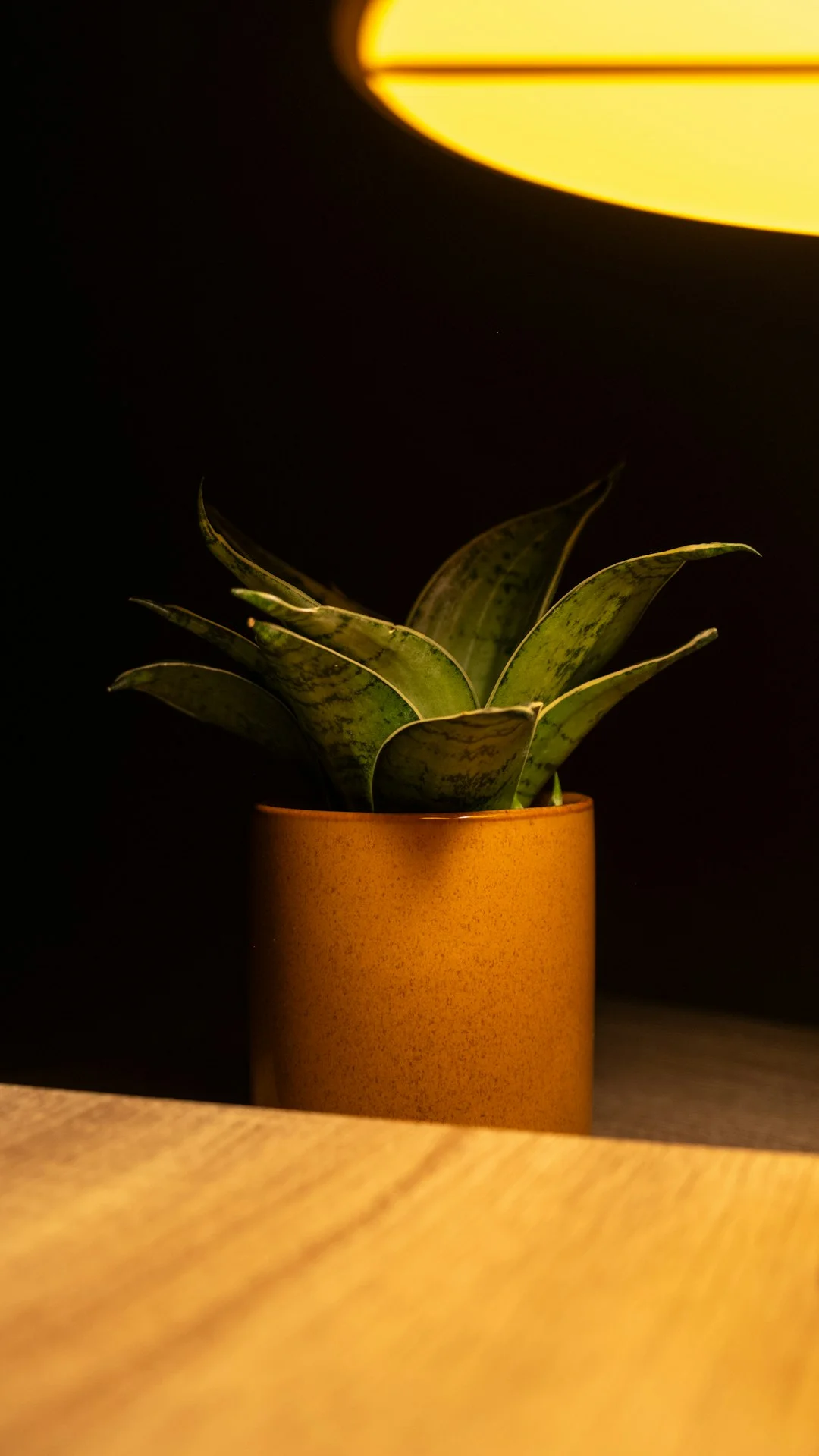 feng shui meaning of Why Should Your Desk Face the Door Why Should Your Desk Face the Door? chinese metaphysics illustration zen style